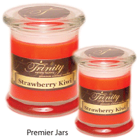 triple scented soy premier jar containers - clean burning - 100+ fragrances